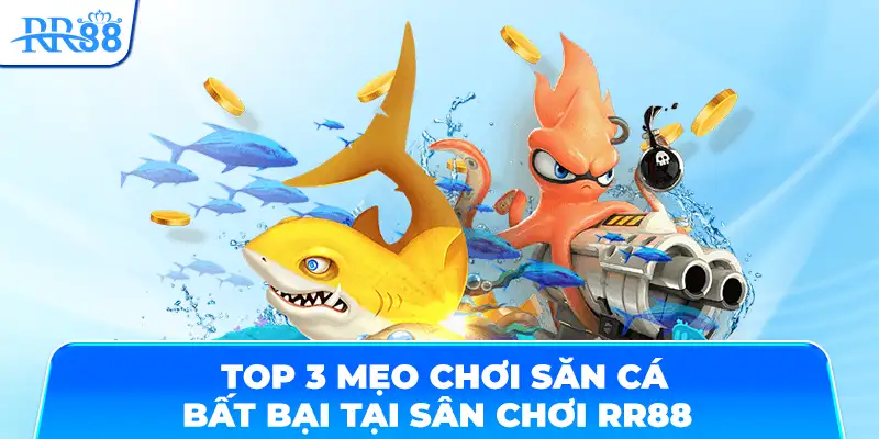 Top 3 mẹo chơi săn cá bất bại tại sân chơi RR88