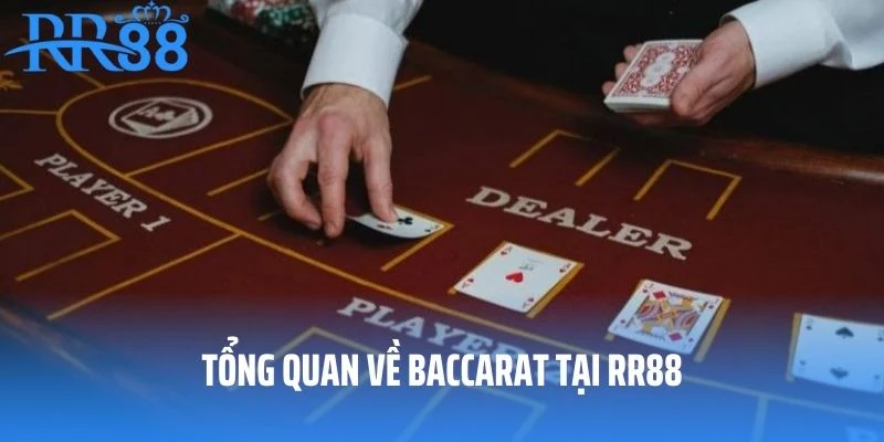 Tổng quan về baccarat tại RR88
