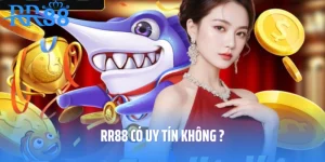 RR88 có uy tín không?